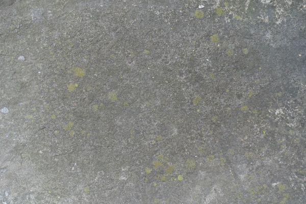 Cost of Slab Staining Service in Lawrence